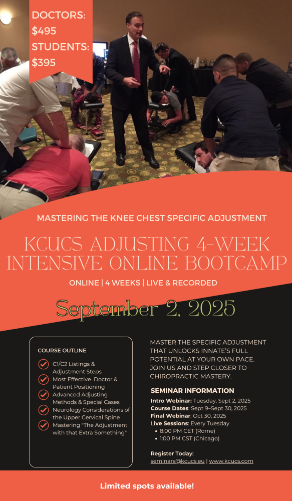 Bootcamp Hero Knee-Chest Adjusting Workshop